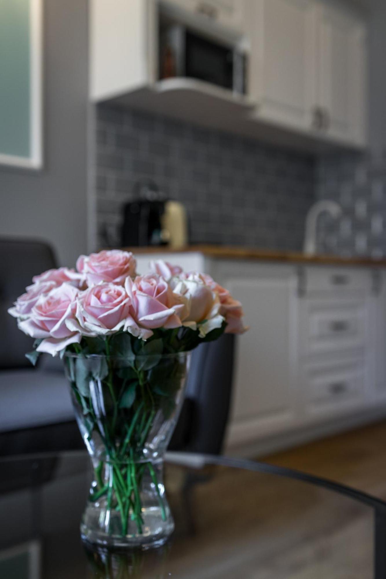 Domles Apartments คราคูฟ ภายนอก รูปภาพ